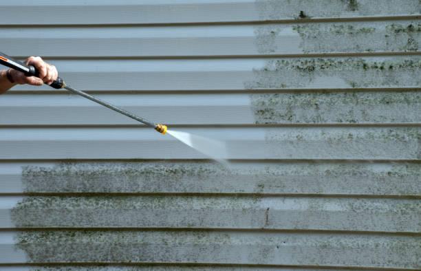 Professional Pressure Washing Services in Hampton, IL